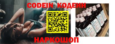 гашик Моздок