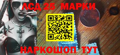гашик Моздок