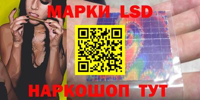 гашик Моздок