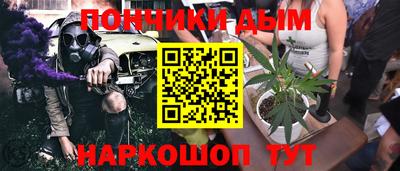 гашик Моздок