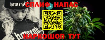 сатива Можайск