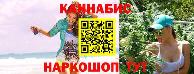 гашик Моздок