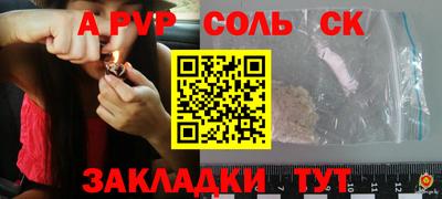 гашик Моздок