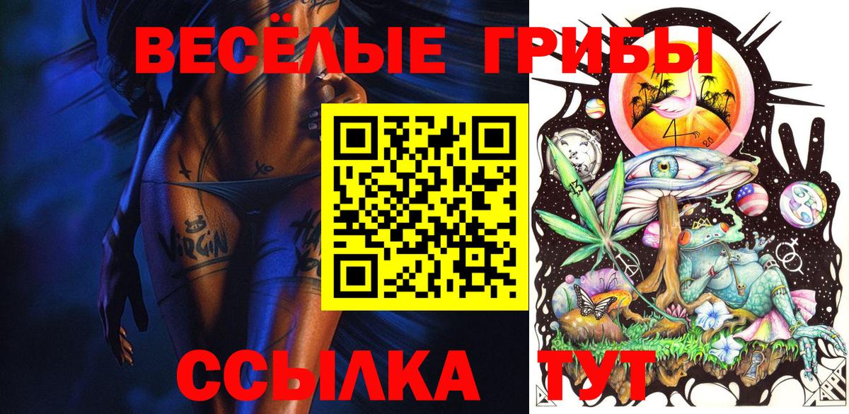 Шадринск  Псилоцибиновые грибы Psilocybine cubensis  Вход с VPN 